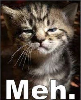 NWR:  cat meme time!
