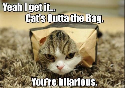 Fh let the cat out of the bag!