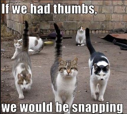 All the newbies just need to go away.