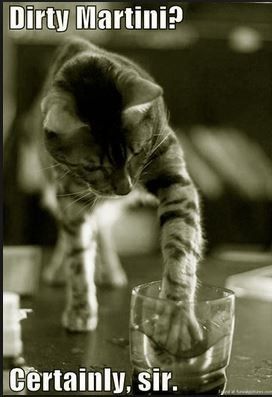 Spinoff - Cat wedding!