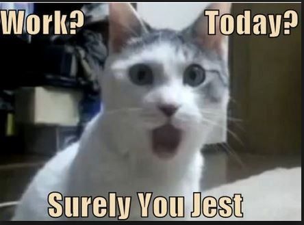 Can't up load photos.....WW KATIE----HELP!!!!