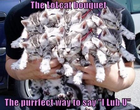 Congrats to purplekitten!