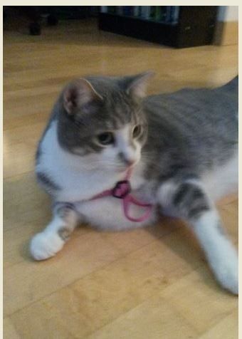 NWR Happy Fursday!!!