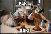 House Party