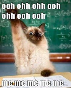 Introduction.. and a question!