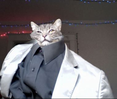 Groom Service?