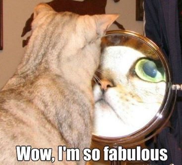 Dear Newbie,