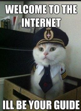 Dear Newbie,