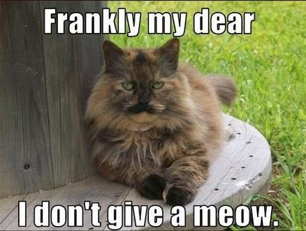 Dear Newbie,