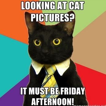 Let's meme our day.....