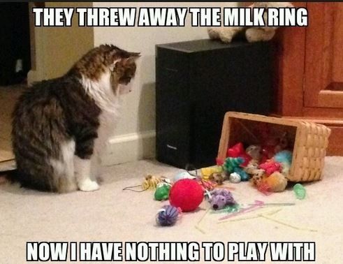 First World Problems