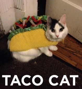 Stop hiding your posts and thinking the ground beef tacos are acceptable.