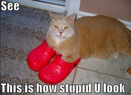 Stop hiding your posts and thinking the ground beef tacos are acceptable.
