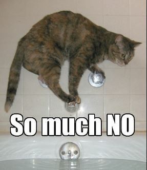 One is bad enough...