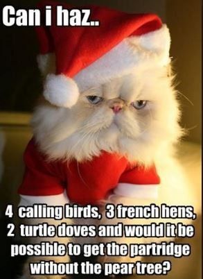 Work is slow and now one of my co workers is trying to get us to sing carols...
