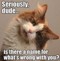PSA - Because we are all thinking it