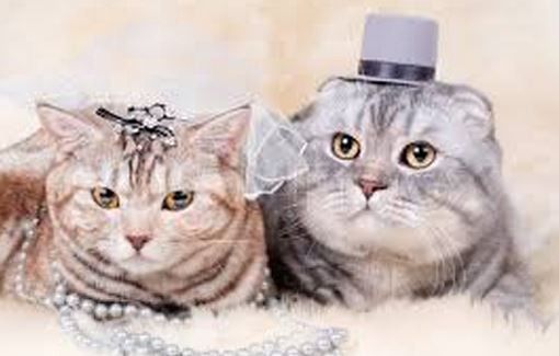 Two hearts that beat as one