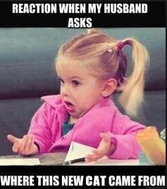 Meem your hopes for your marriage...