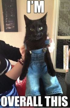 Plus ones on invites