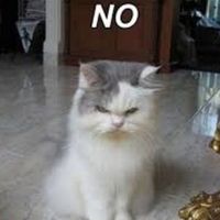 Potluck day after picnic...tacky?