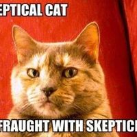 Potluck day after picnic...tacky?