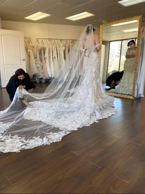 Matching wedding veil — too much? 4