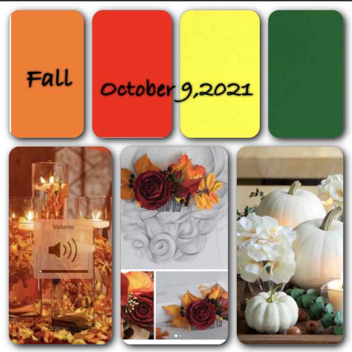 Fall or spring - 4