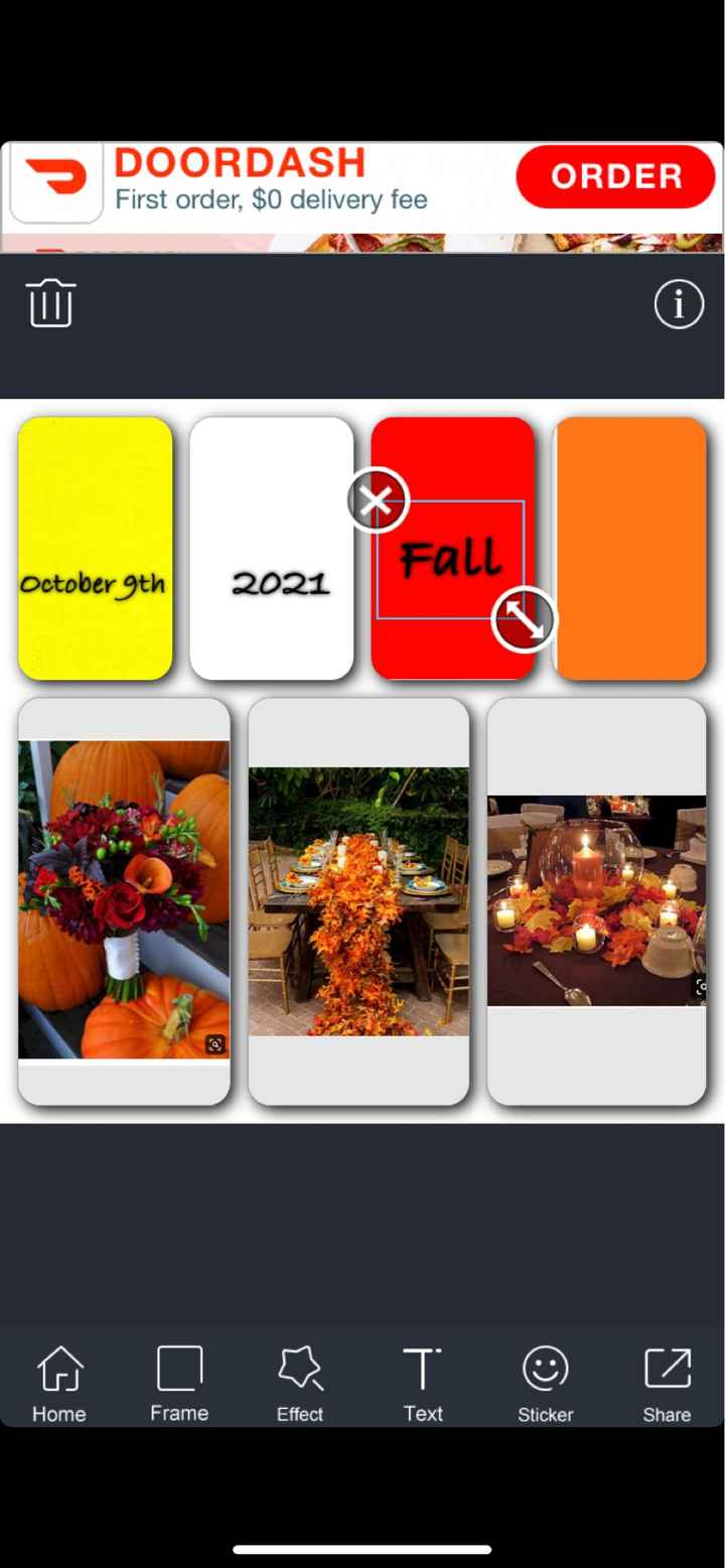 Fall or spring - 5