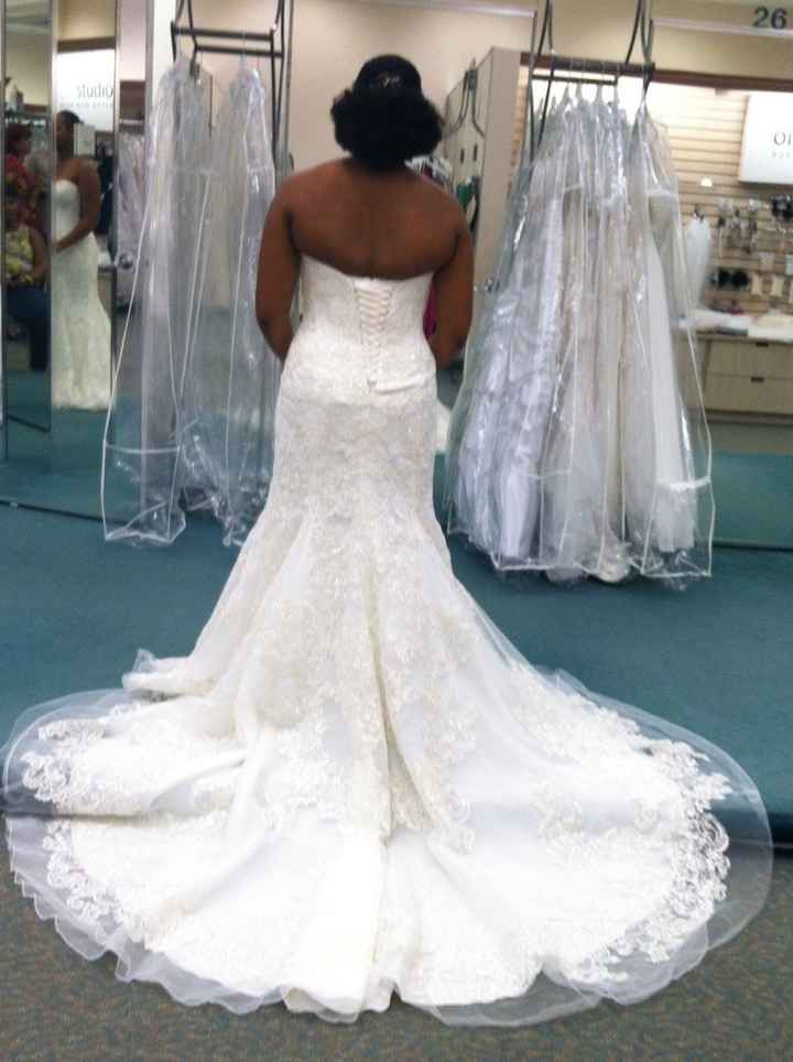 David's Bridal Selection??? (I'm apparently picky :-P)