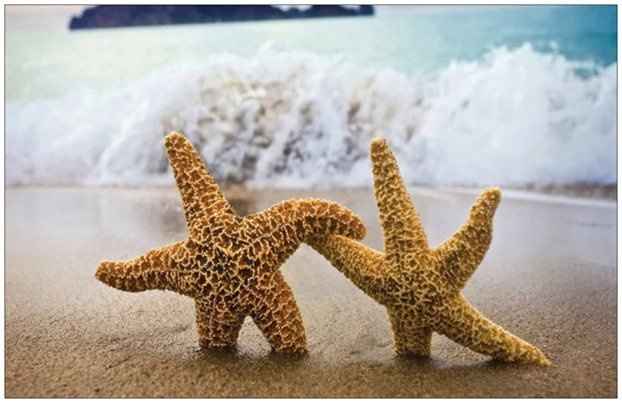 VP Invitation - opinions needed (updated images)