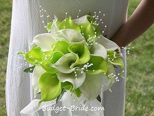 Real Flowers Or Fake?