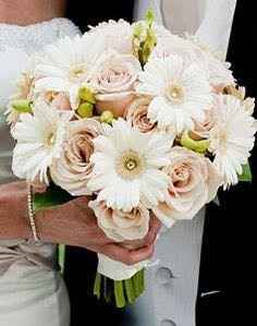 To go with Daisies