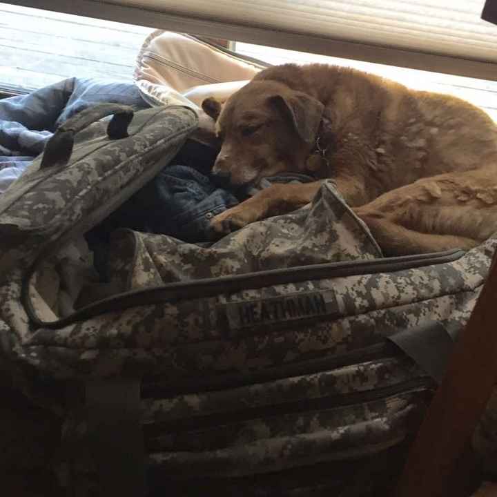 Spinoff: Show us your rescues!