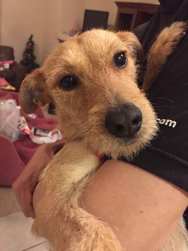NWR: Puppy Friday!!