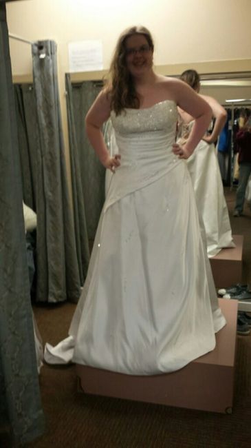 I said yes to a dress