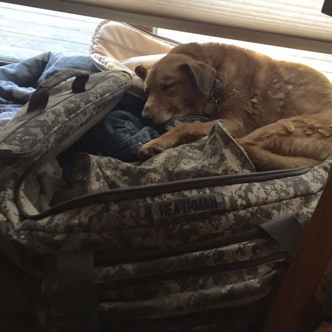 Spinoff: Show us your rescues!