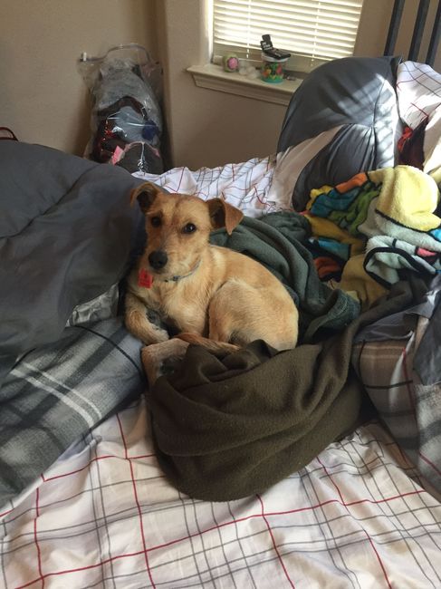 NWR: Pets on Instagram