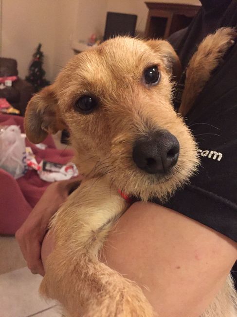 NWR: Puppy Friday!!