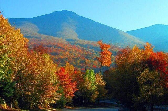 Rec for East Coast "fall" type town for honeymoon