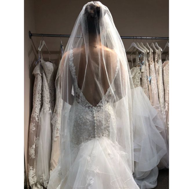 How much was your wedding dress? 6