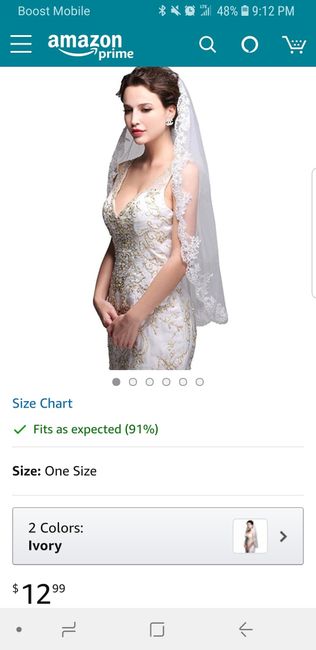 Show me your “budget” veils! - 1