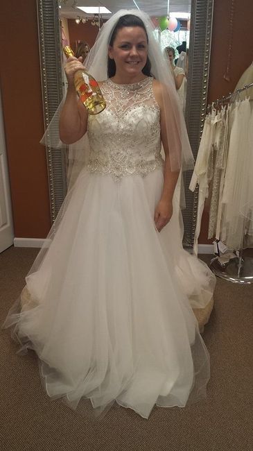 Dress update: I said YES to the dress!! PIC