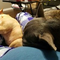 NWR-Animals... they just know