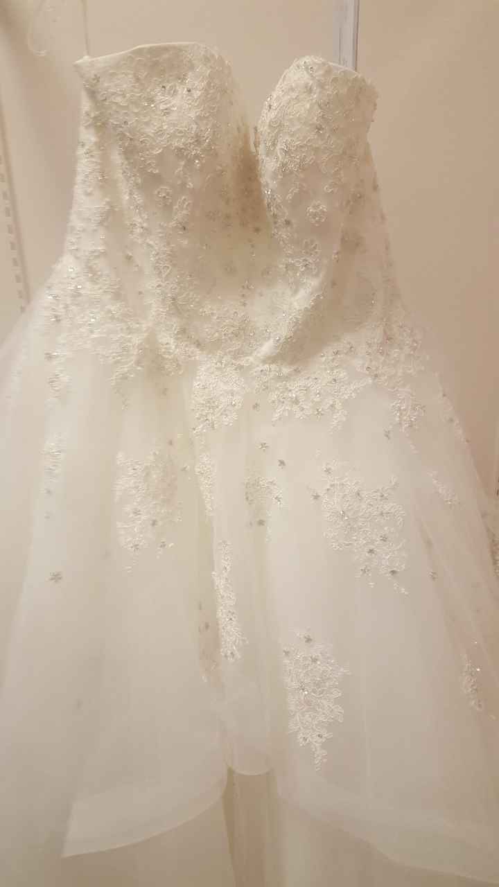 How many dresses did you try on? - 1