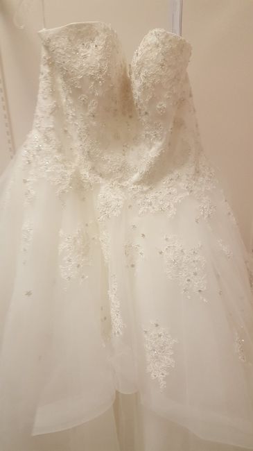How many dresses did you try on? - 1