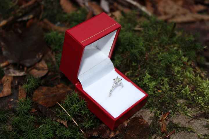 2024 Brides - Show us your ring! - 1