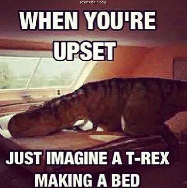 meme wedne.....**FRIDAY!!!!!**