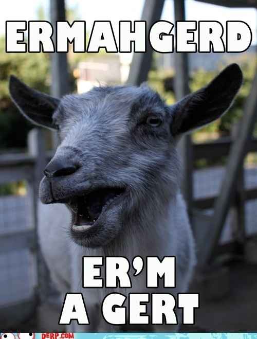 meme wedne.....**FRIDAY!!!!!**