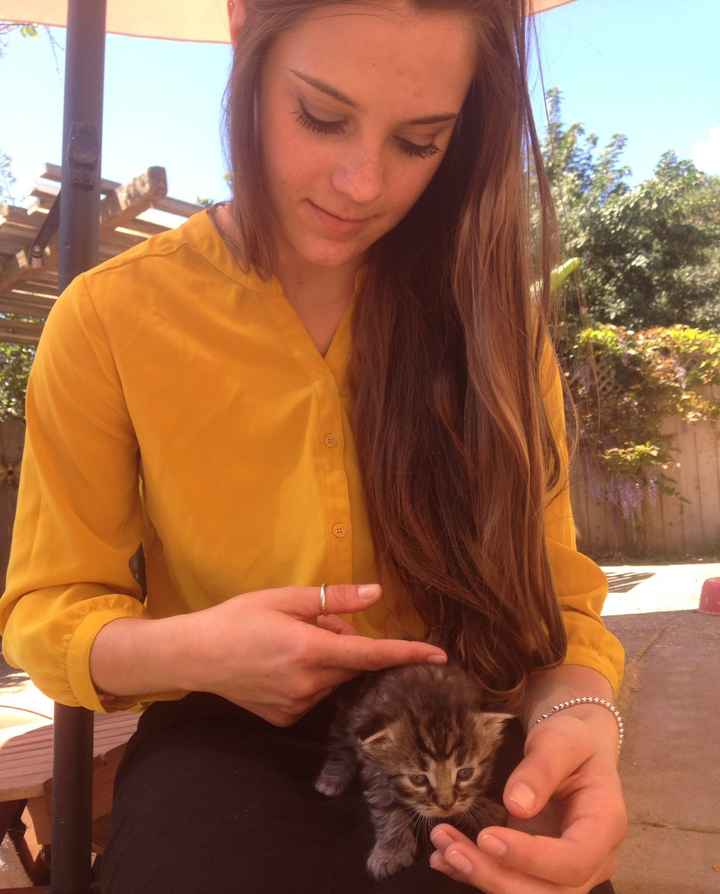 NWR:  It's Feline Friday...