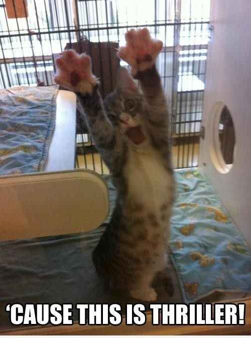 Stupid Meltdown! Words of love needed